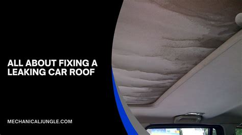 car roof leak repair|How to Fix a Leaking Car Roof: Comprehensive DIY Guide